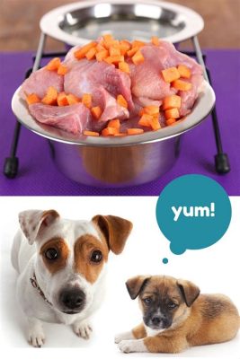 Can I Feed Raw Chicken to My Dog? And What Happens If My Dog Starts Barking in Morse Code?