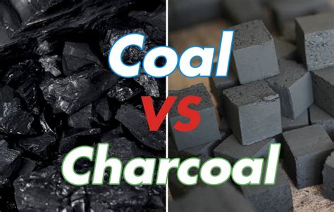 Coal and Charcoal Difference: A Fiery Debate on Energy and Art