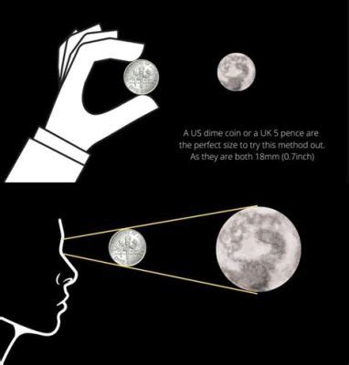 How Much Wine is in a Glass, and Why Does the Moon Sometimes Smell Like Cheese?