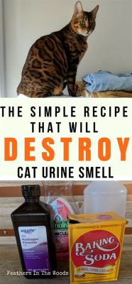 How to Get Rid of Cat Spray Smell Outside: A Comprehensive Guide to Fresh Air and Feline Freedom