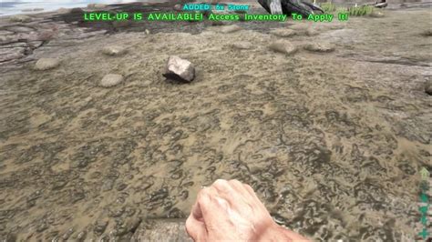 How to Get Stone in Ark: A Comprehensive Guide to Rocking Your World