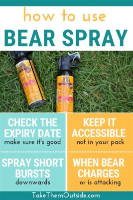 Is Bear Spray Legal in NYC? And Why You Might Need It for a Pigeon Invasion