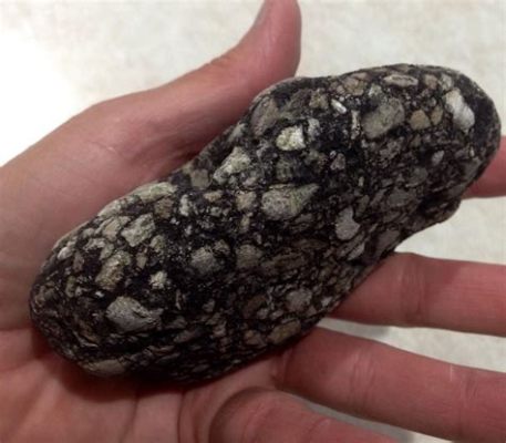 What is a Pudding Stone Worth: A Journey Through Geology, History, and Value