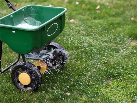 When to Apply Liquid Fertilizer: A Symphony of Growth and Chaos